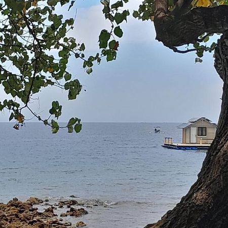 La Paparrucha Bali Bed & Breakfast Pemuteran  Bagian luar foto