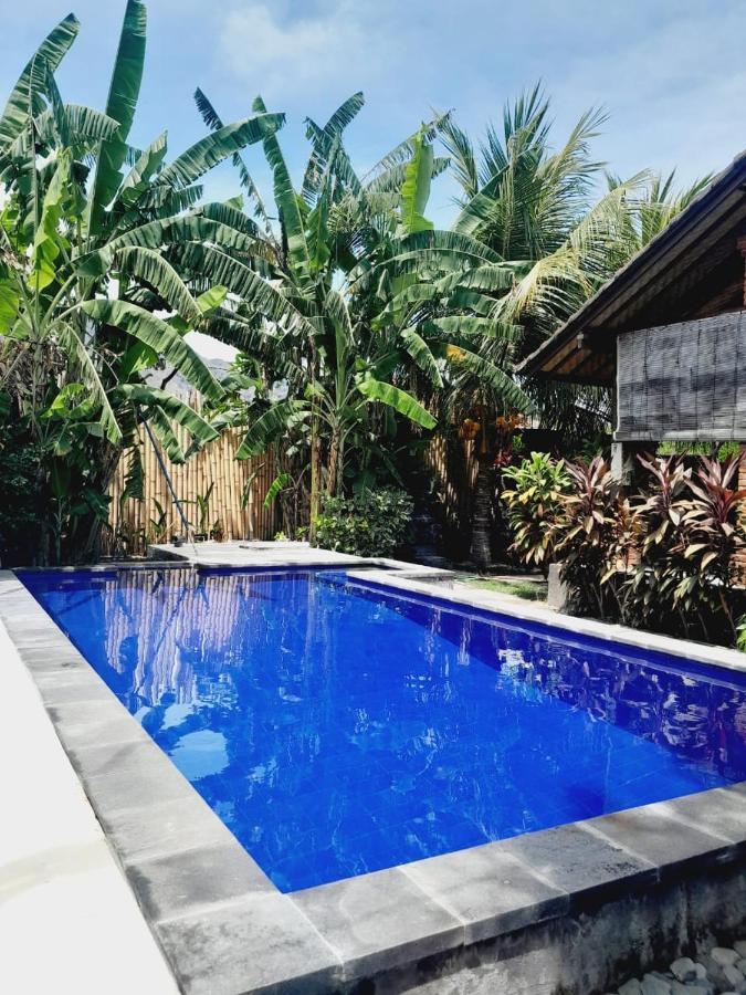 La Paparrucha Bali Bed & Breakfast Pemuteran  Bagian luar foto