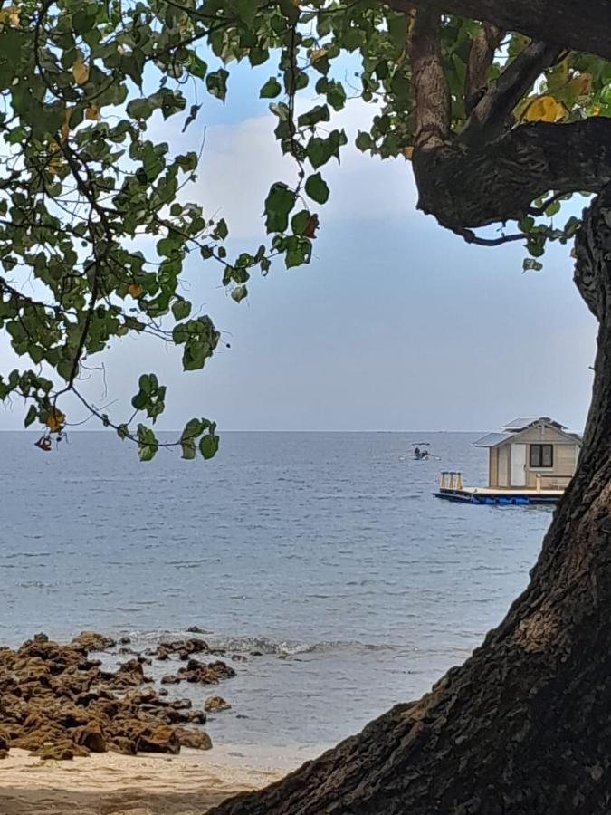 La Paparrucha Bali Bed & Breakfast Pemuteran  Bagian luar foto