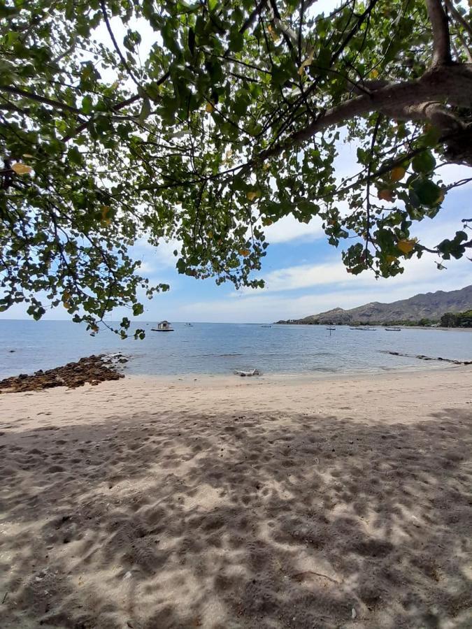 La Paparrucha Bali Bed & Breakfast Pemuteran  Bagian luar foto